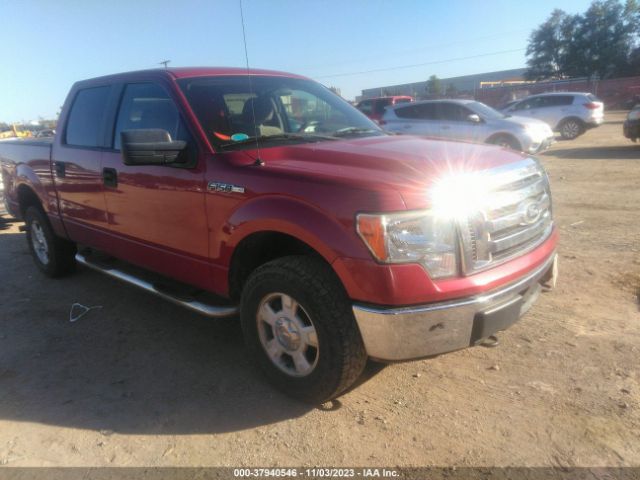 FORD F-150 2010 1ftew1e89afb02193