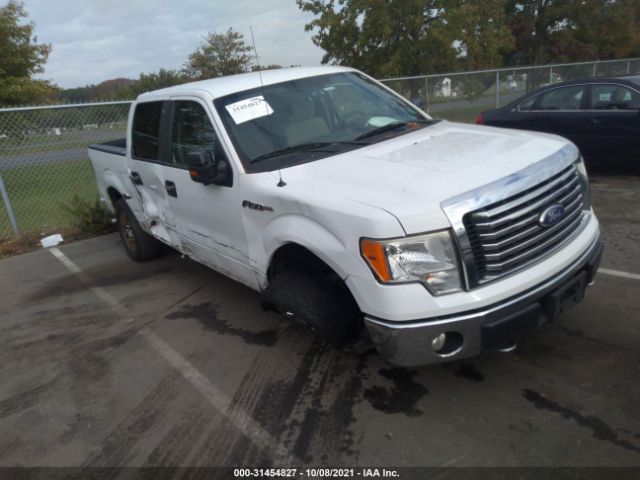 FORD F-150 2010 1ftew1e89afb20130