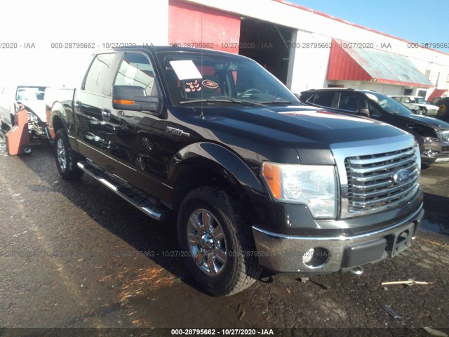 FORD F-150 2010 1ftew1e89afb32620