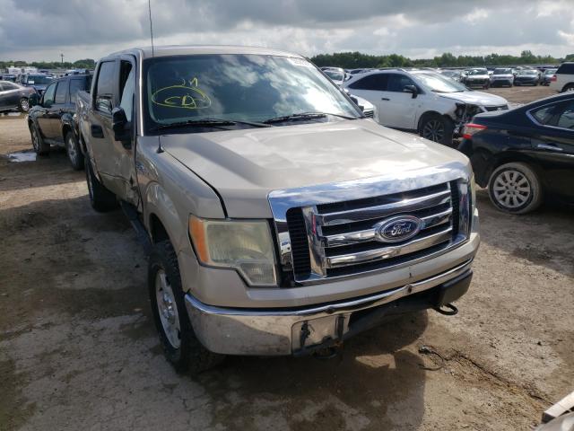 FORD F150 SUPER 2010 1ftew1e89afb34206