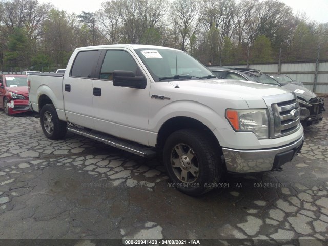 FORD F-150 2010 1ftew1e89afb34240