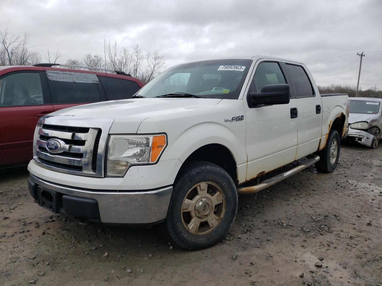 FORD F-150 2010 1ftew1e89afb42449