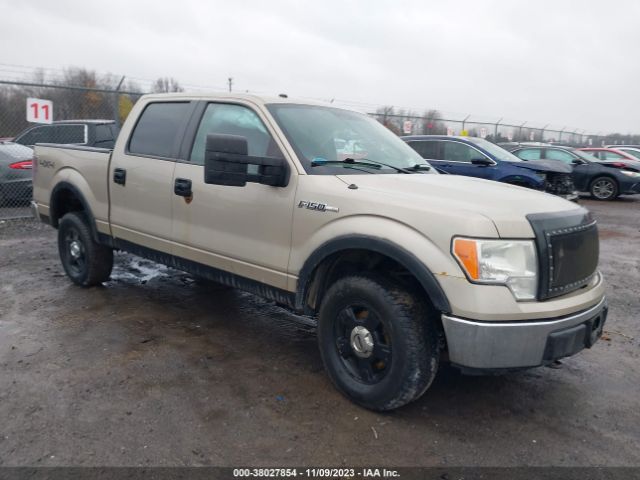 FORD F-150 2010 1ftew1e89afb73166