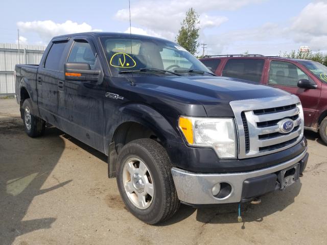 FORD F150 SUPER 2010 1ftew1e89afb84488