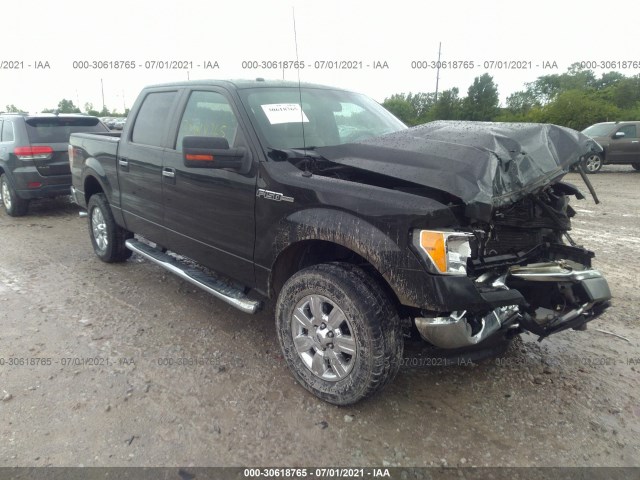 FORD F-150 2010 1ftew1e89afd14785