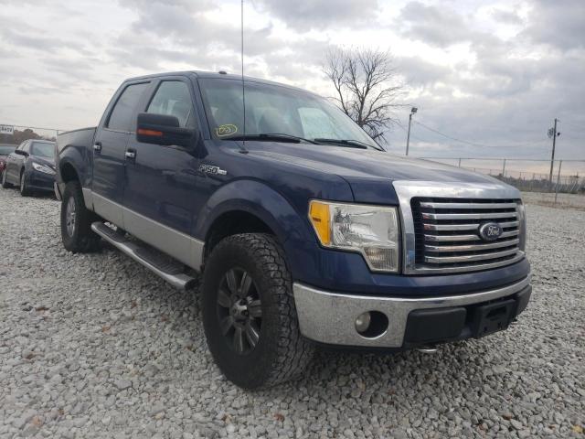 FORD F150 SUPER 2010 1ftew1e89afd15189