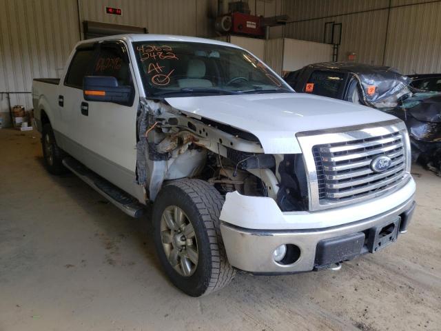 FORD F150 SUPER 2010 1ftew1e89afd21820