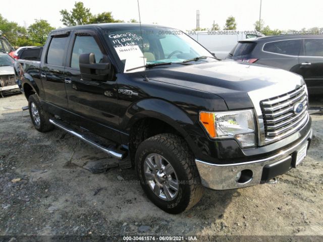 FORD F-150 2010 1ftew1e89afd41291