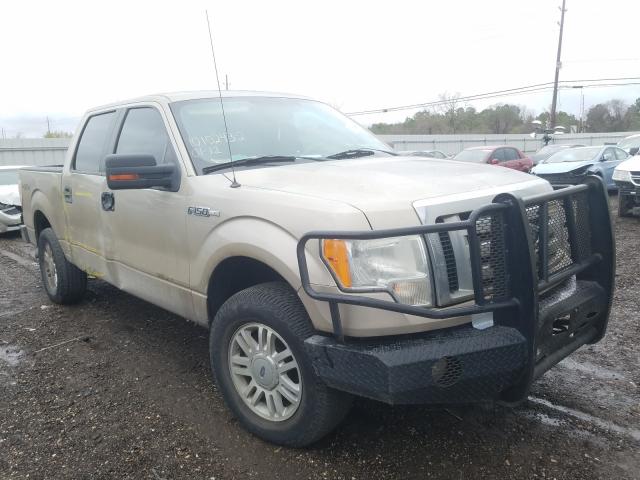 FORD F150 SUPER 2010 1ftew1e89afd65896