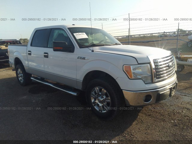 FORD F-150 2010 1ftew1e89afd78843