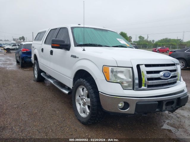 FORD F-150 2010 1ftew1e89ake58389