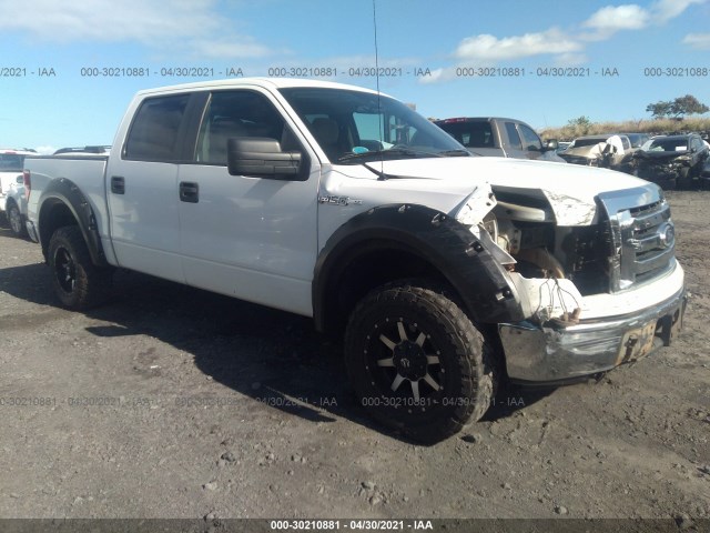 FORD F-150 2010 1ftew1e8xafa15337