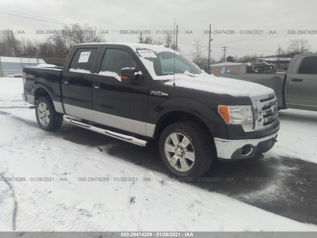 FORD F-150 2010 1ftew1e8xafa44725