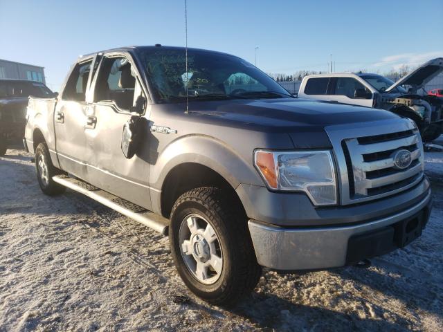 FORD F150 SUPER 2010 1ftew1e8xafb12280