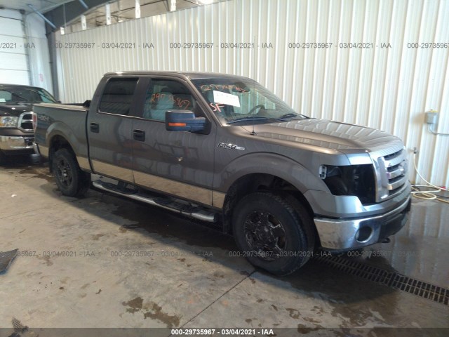 FORD F-150 2010 1ftew1e8xafb15390