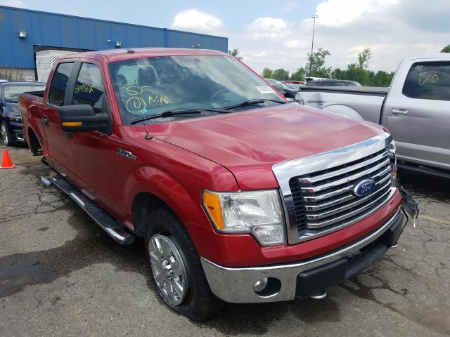 FORD F150 SUPER 2010 1ftew1e8xafb36398