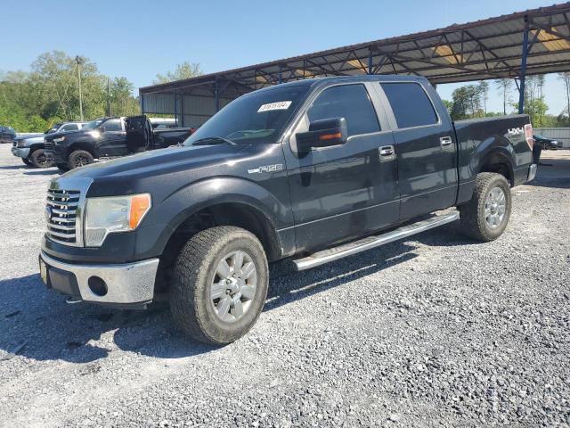 FORD F-150 2010 1ftew1e8xafb77453