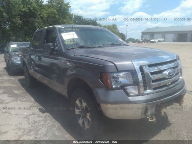 FORD F-150 2010 1ftew1e8xafc36663