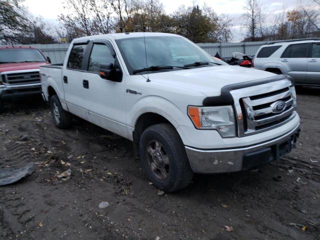 FORD F150 SUPER 2010 1ftew1e8xafc37537