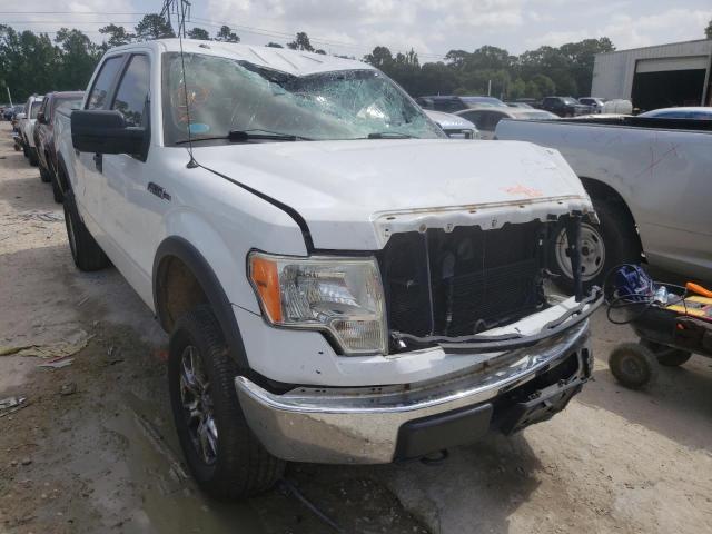 FORD F150 SUPER 2010 1ftew1e8xafc87368