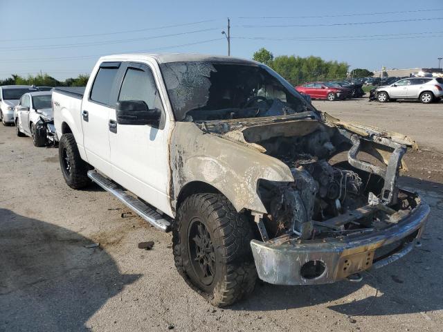 FORD F150 SUPER 2010 1ftew1e8xafd63672