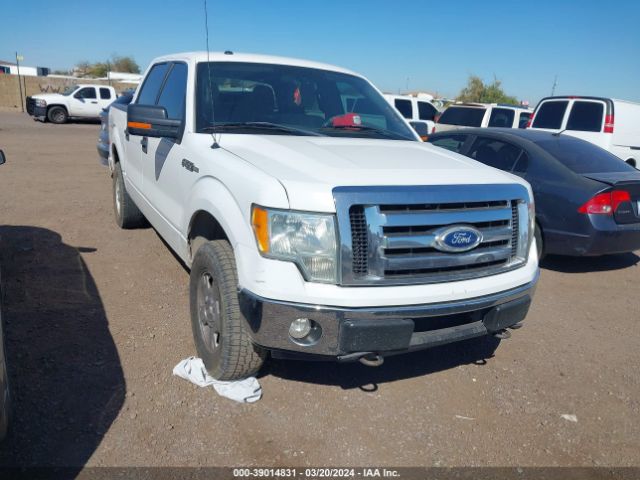 FORD F-150 2010 1ftew1e8xafd67527