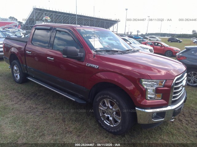 FORD F-150 2015 1ftew1e8xffc85580