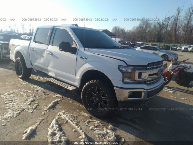 FORD F-150 2019 1ftew1eb2kkd14647