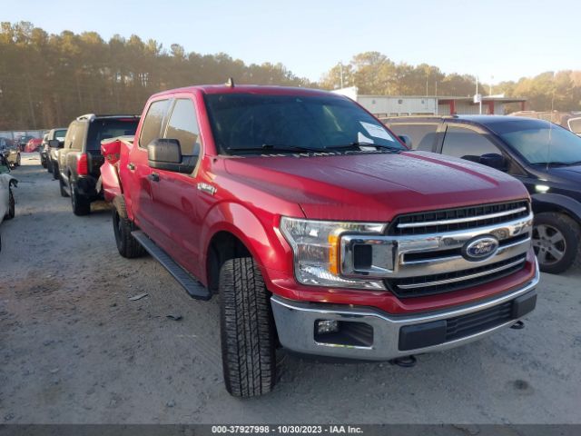 FORD F-150 2019 1ftew1eb4kkc26800