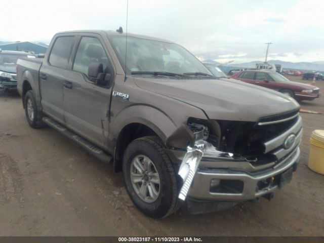 FORD F-150 2019 1ftew1eb5kkd01701