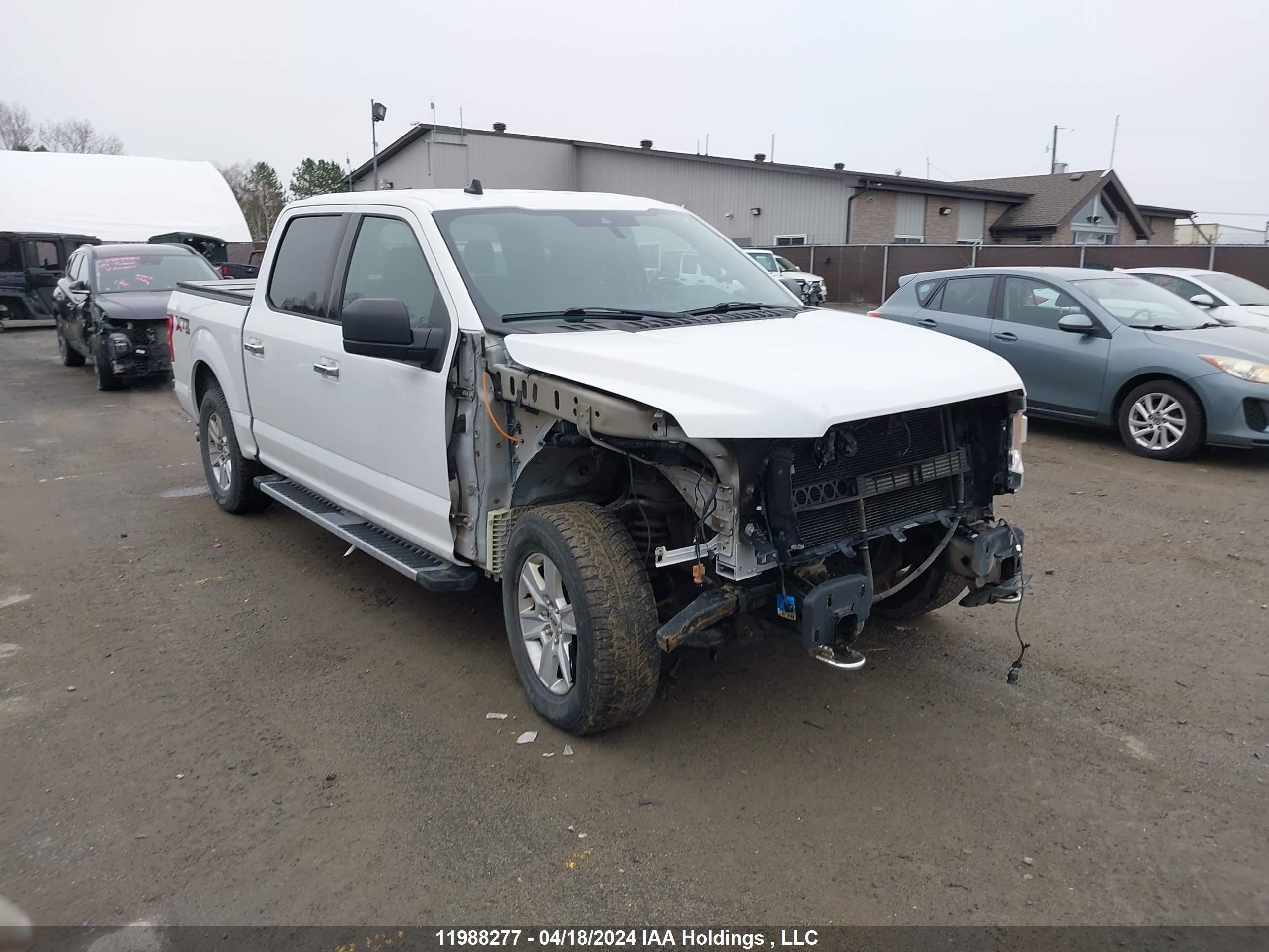 FORD F-150 2019 1ftew1eb8kfd22583