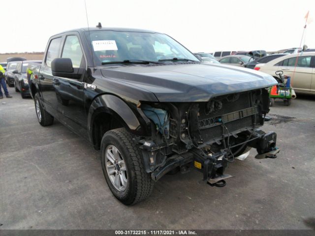 FORD F-150 2019 1ftew1ebxkkc55556