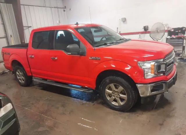 FORD F-150 2019 1ftew1ebxkkd12600