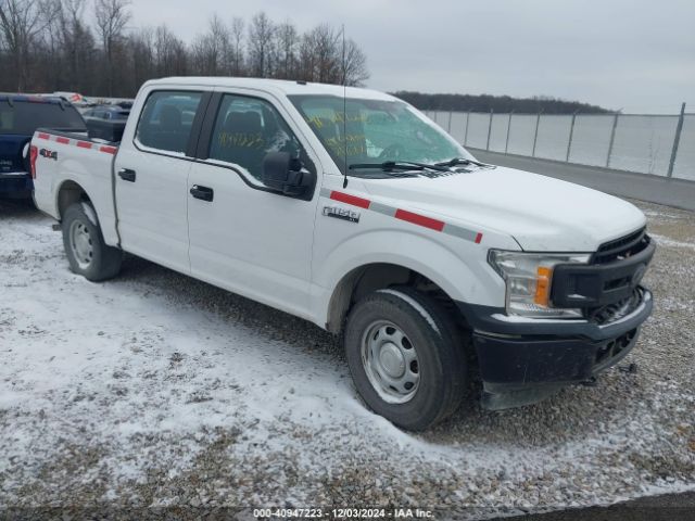 FORD F-150 2019 1ftew1ebxkkd99186