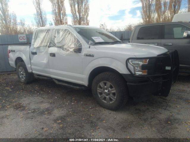 FORD F-150 2015 1ftew1ef0fkd03445