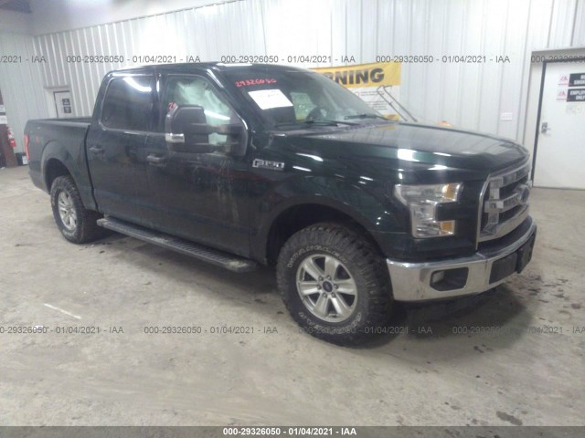 FORD F-150 2015 1ftew1ef1ffa59216