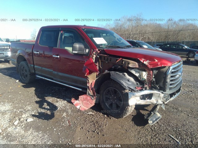 FORD F-150 2015 1ftew1ef1ffb77394