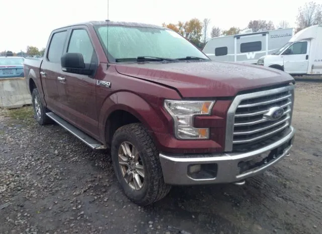 FORD F-150 2015 1ftew1ef1fkd64819