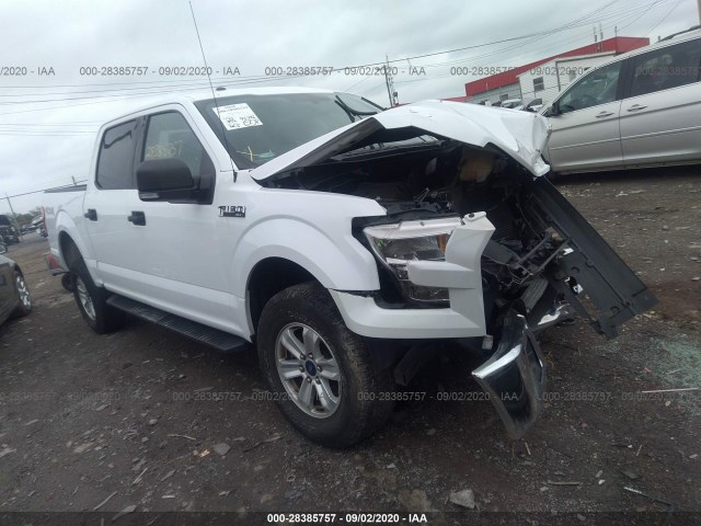 FORD F-150 2015 1ftew1ef1fke43679