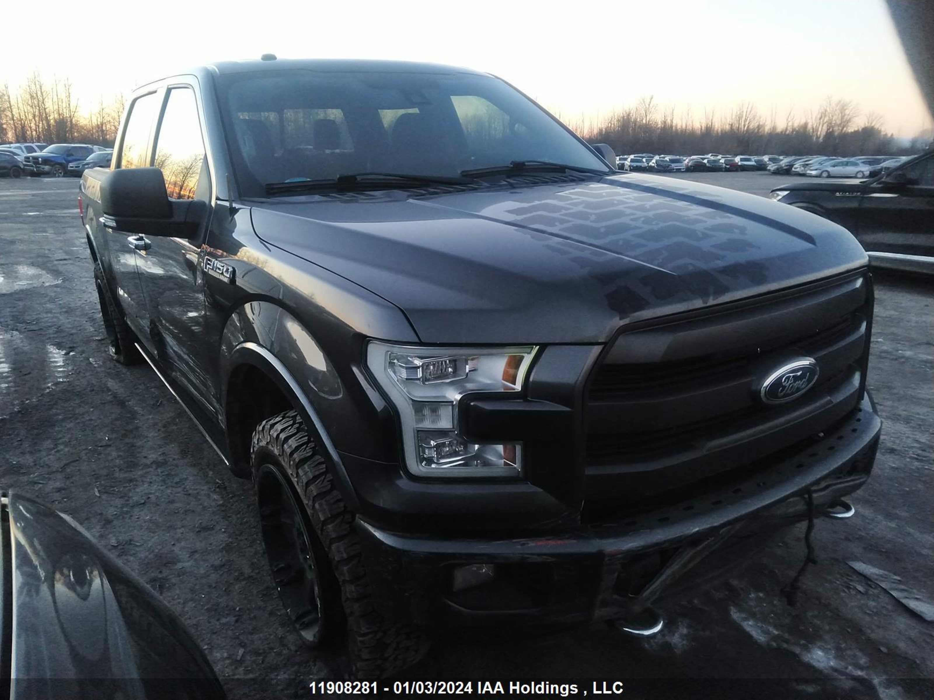 FORD F-150 2016 1ftew1ef1gfa01656