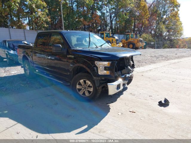 FORD F-150 2016 1ftew1ef1gfc90599