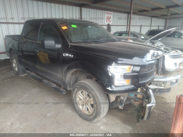 FORD F-150 2017 1ftew1ef1hkd46842