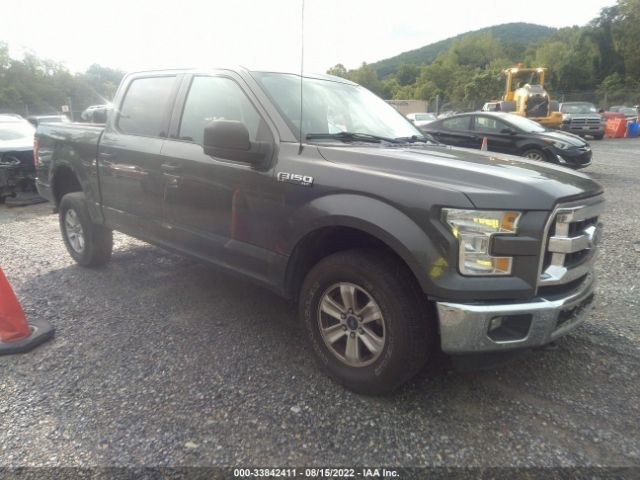 FORD F-150 2015 1ftew1ef2ffa73271