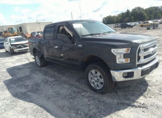 FORD F-150 2015 1ftew1ef2ffb07452