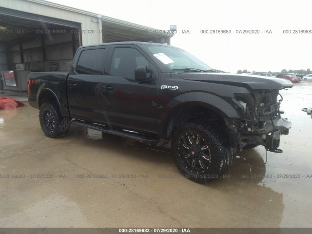 FORD F-150 2015 1ftew1ef2ffb90204