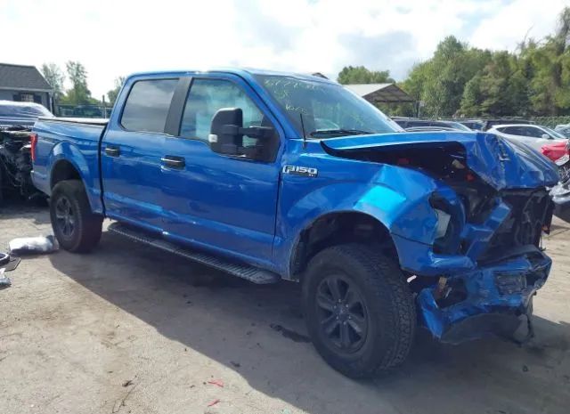 FORD F-150 2015 1ftew1ef2ffb94365