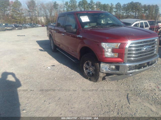 FORD F-150 2015 1ftew1ef3ffb74643