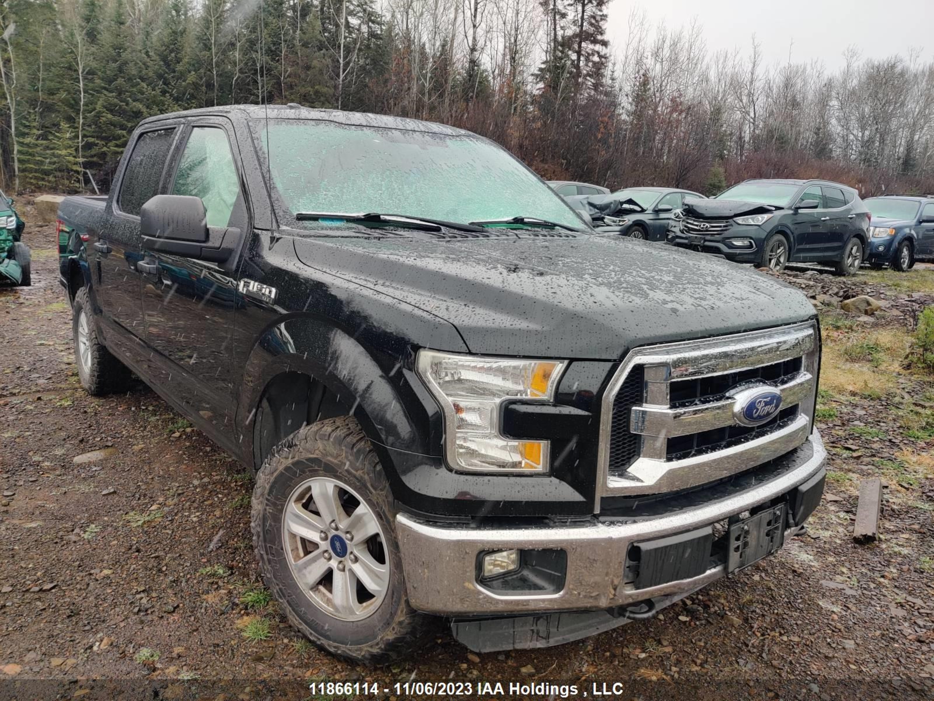 FORD F-150 2015 1ftew1ef3ffc00951