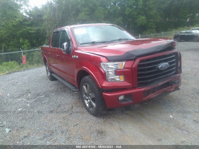 FORD F-150 2015 1ftew1ef3fkf06720