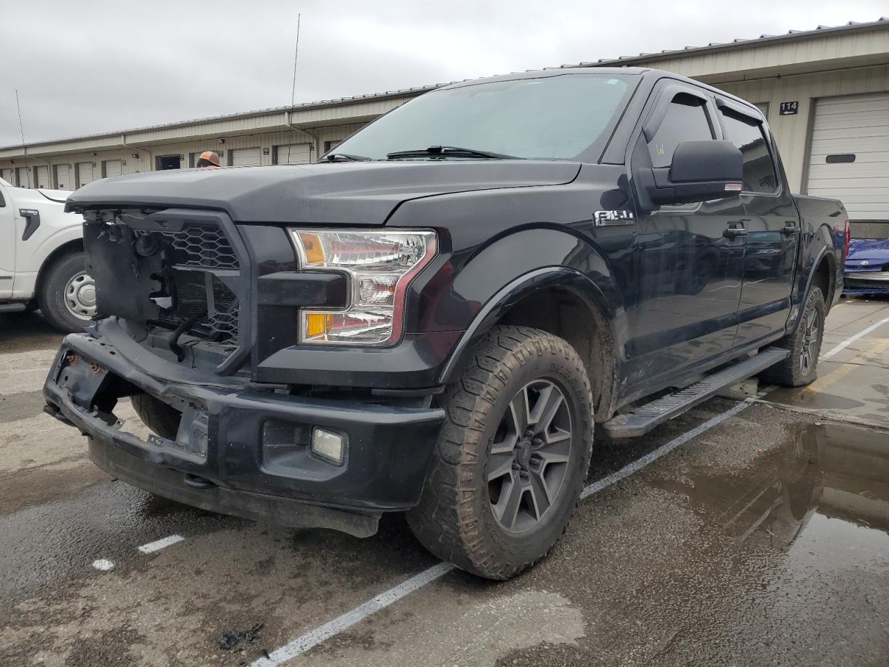 FORD F-150 2015 1ftew1ef4ffa78231